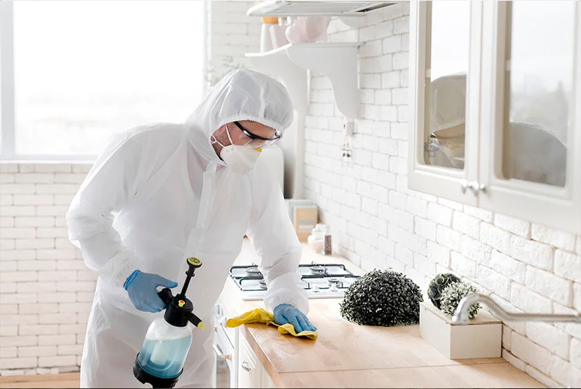 Termite Treatment