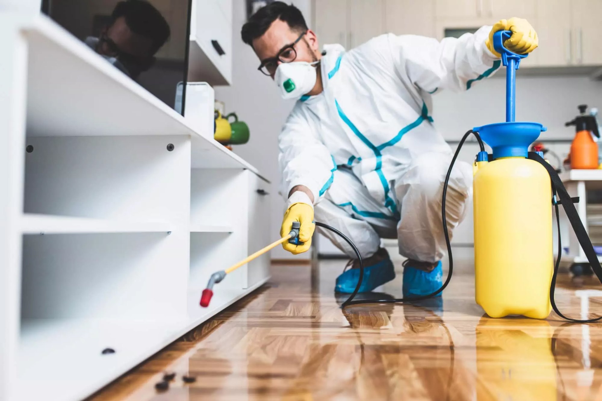 House Pest Control